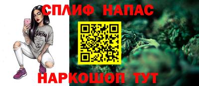 молекула духа Волжский