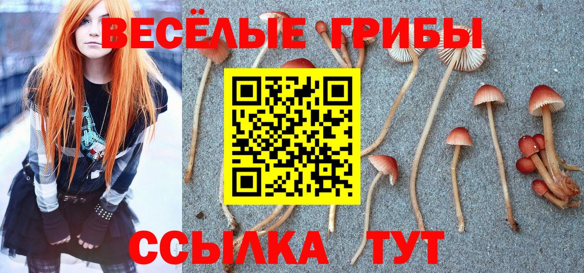 Галлюциногенные грибы Psilocybine cubensis  Вход с VPN  Батайск 
